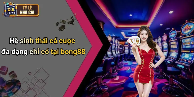 Hệ sinh thái cá cược đa dạng chỉ có tại bong88