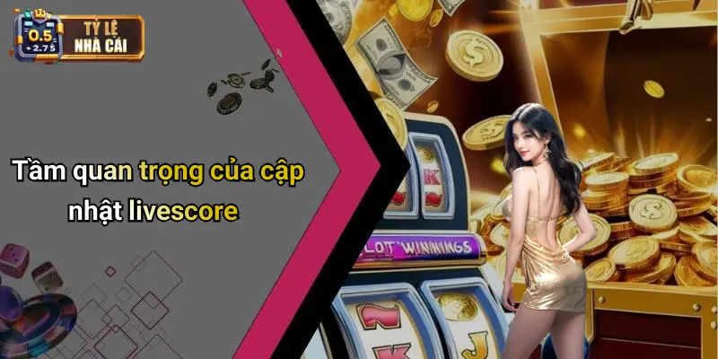 Tầm quan trọng của cập nhật livescore