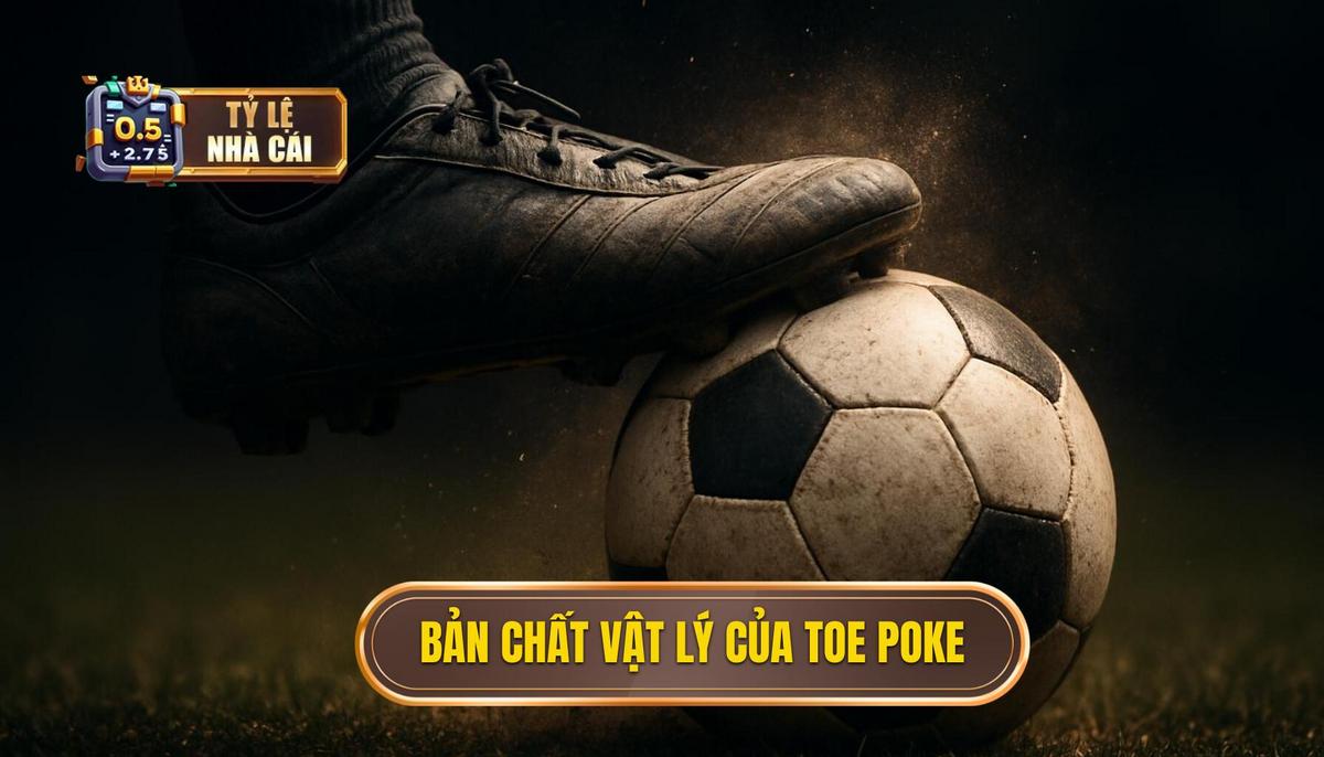 Bản Chất Vật Lý Và Cơ Chế Hoạt Động Của Toe Poke