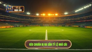 Kèo chuẩn bị ra sân TỶ LỆ NHÀ CÁI